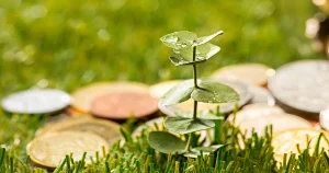 nachhaltige-investitionen